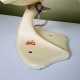 Ventilateur AirFray dit "Patte de canard" Vintage 1950