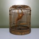 Cage à oiseaux en bois vintage avec son perroquet