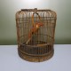 Cage à oiseaux en bois vintage avec son perroquet