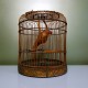 Cage à oiseaux en bois vintage avec son perroquet