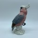 Perroquet en Céramique poychrome BESWICK England 1180 Cockatoo